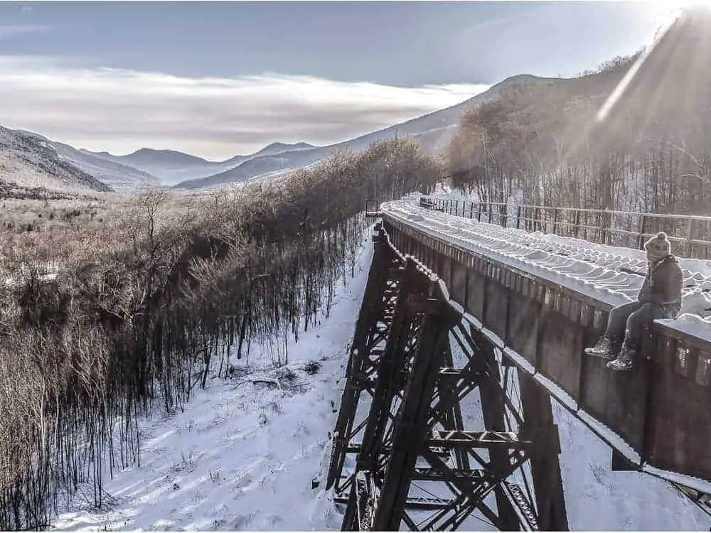 Best Bird Watching Locations in New Hampshire 2020 Wild Bird World