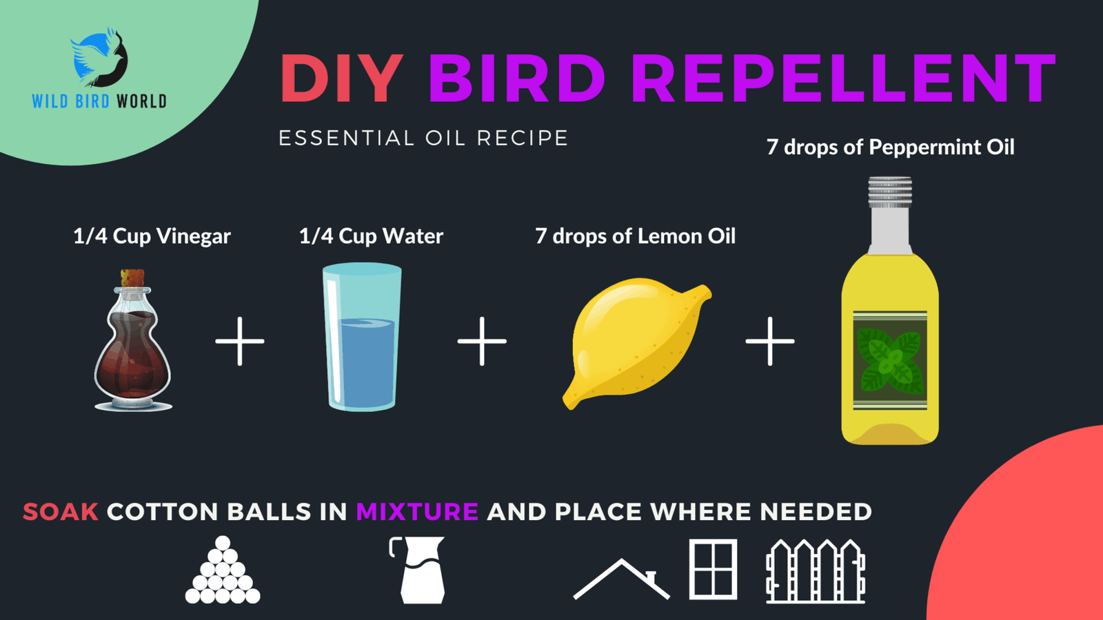 what smells repel birds DIY repellent