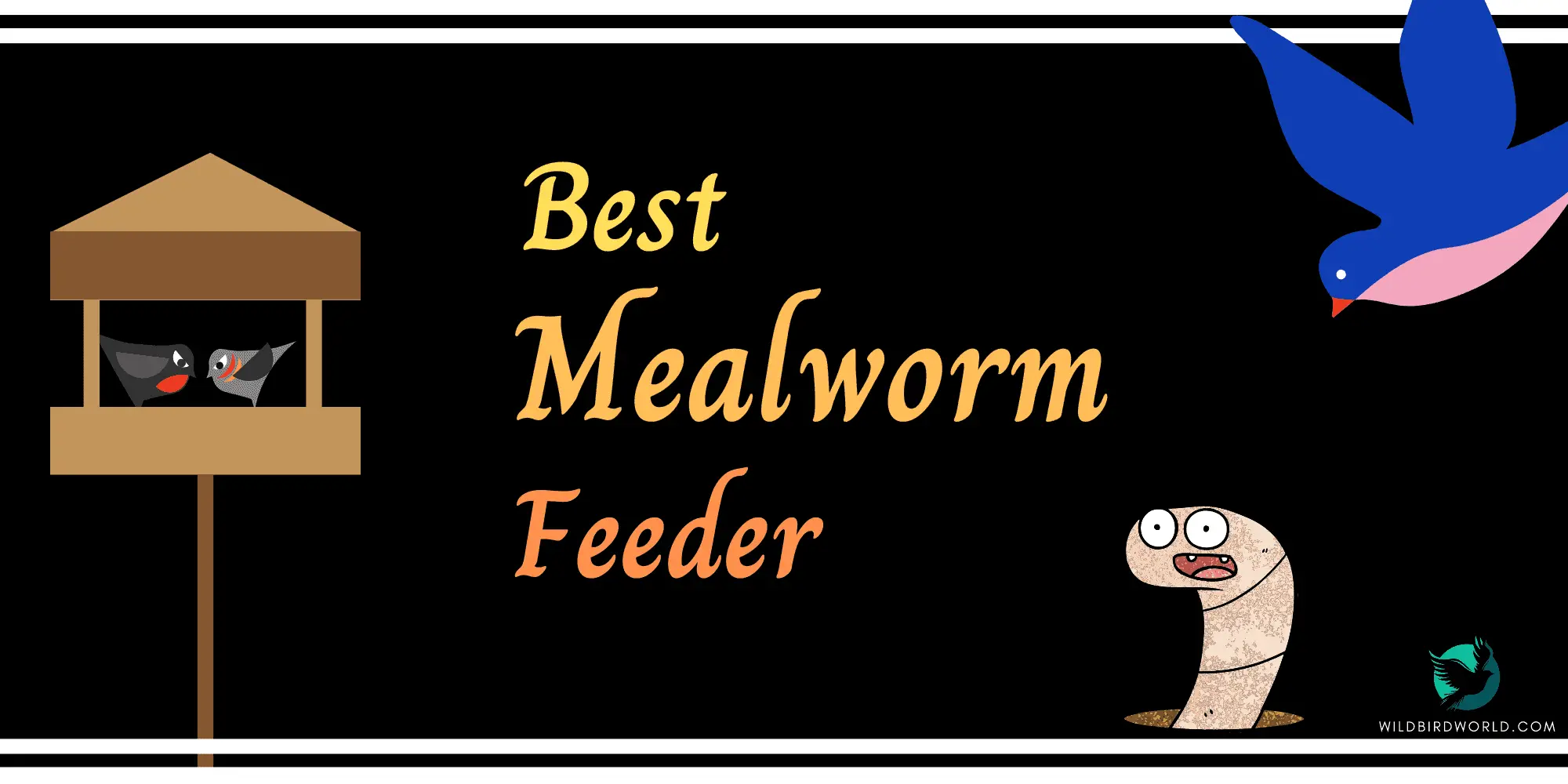 best meal worm feeder
