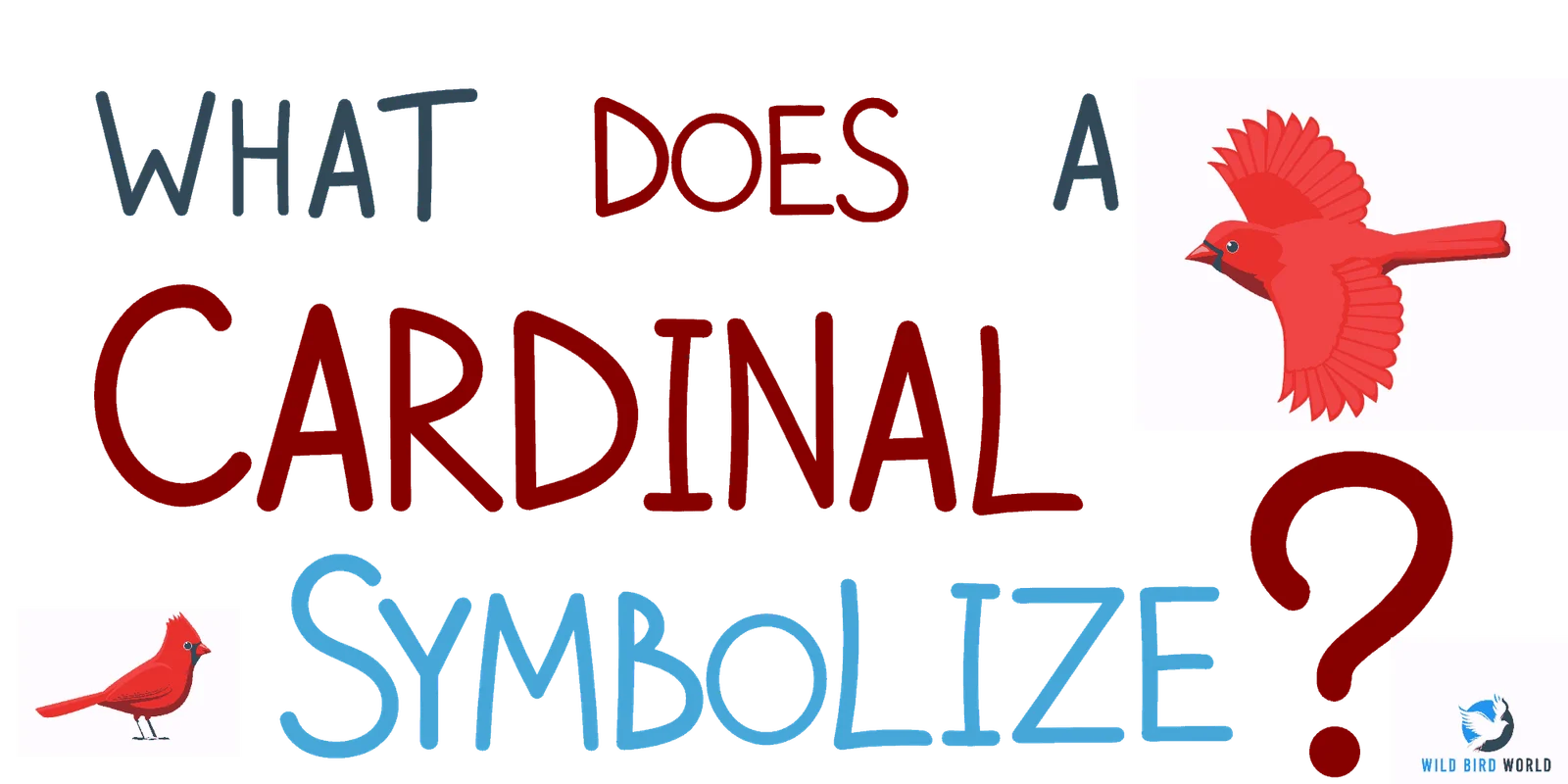 What does it mean when you see a Cardinal? Wild Bird World