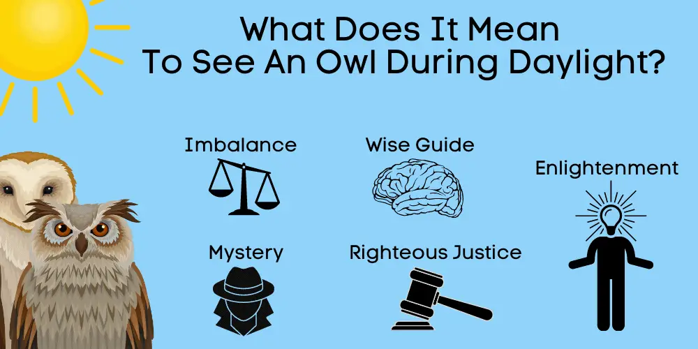 what does it mean to see an owl during daylight
